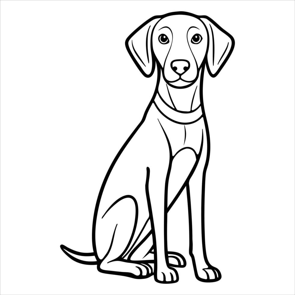 Cute Vizsla Dog Cartoon Line art Illustration vector
