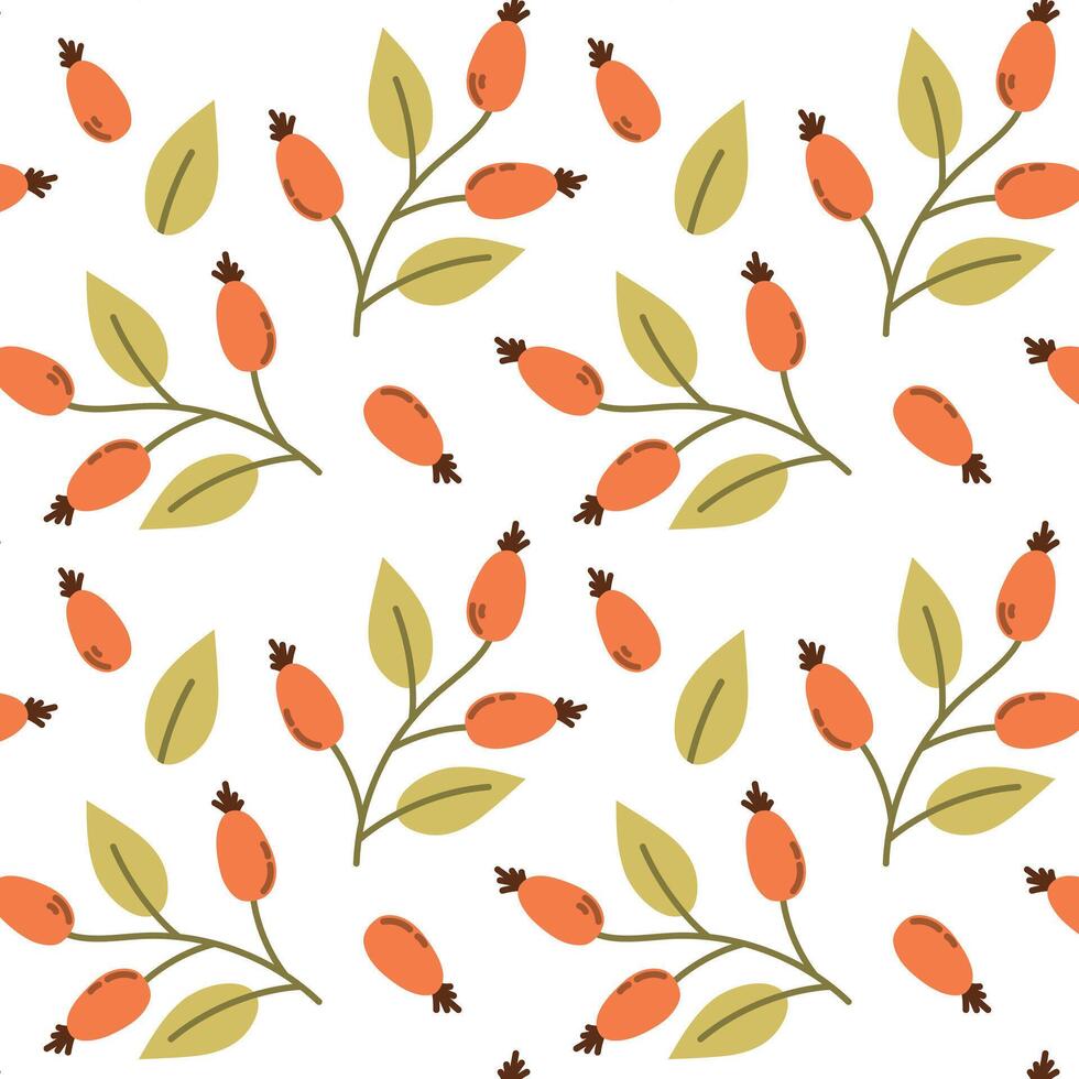 Rosehip seamless background, illustration of rosehip branch, red berries on a branch, print, textile, wrapping paper vector