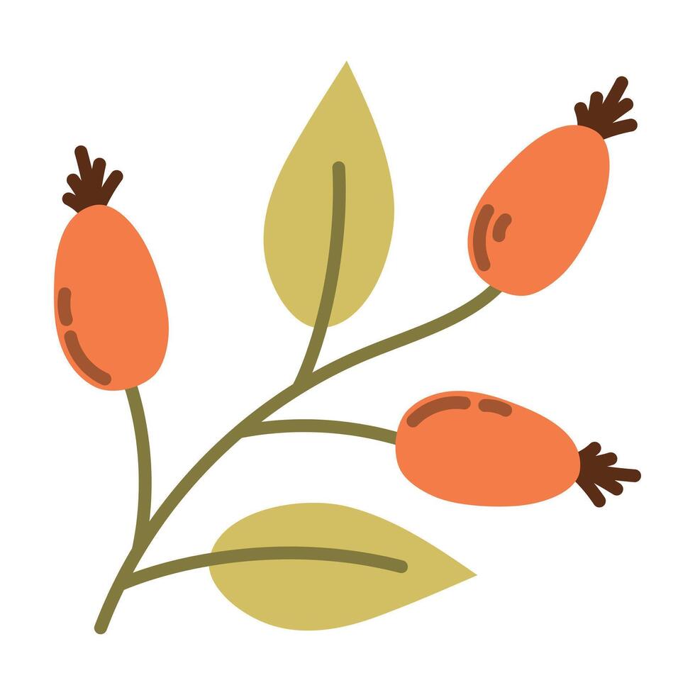 Rosehip branch with red berries and green leaves on a white background, rosehip illustration, icon, botanical illustration vector