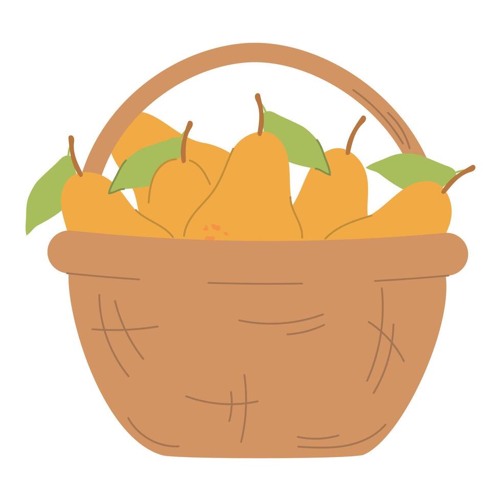 Pear basket, ripe fresh fruits in wicker basket, ripe pears, flat illustration isolated on white background vector