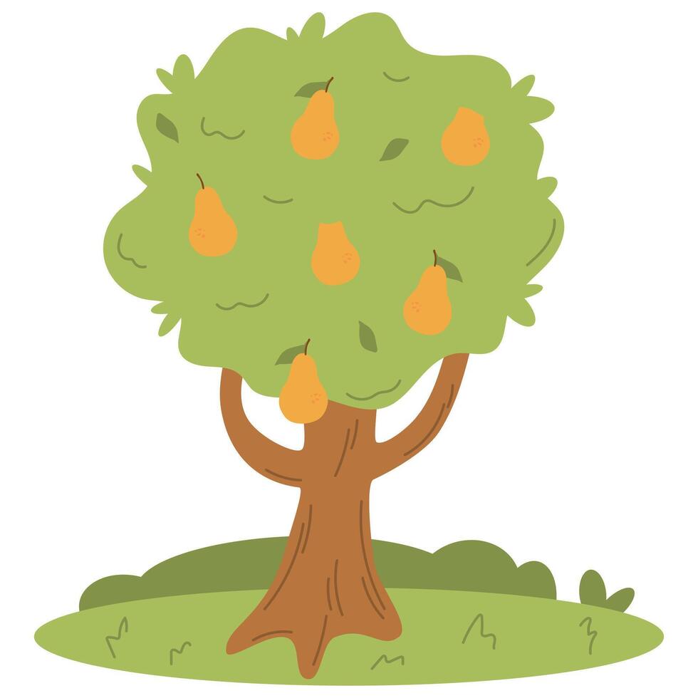 Pear tree, yellow pear fruit, pear on the tree, harvesting, flat illustration on a white background vector