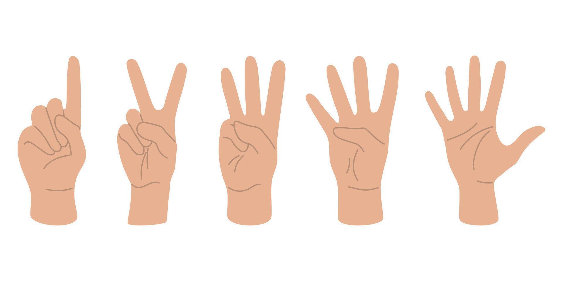 Fingers show numbers, set of human hands flat design hand drawn, illustration vector