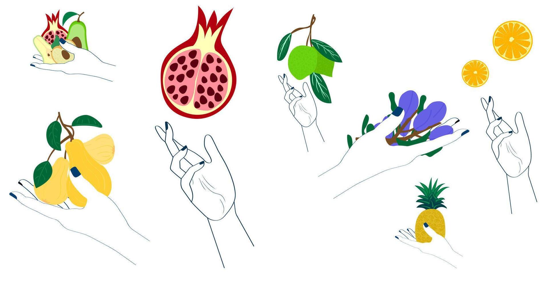 Hand Holding Fruit and Vegetables vector