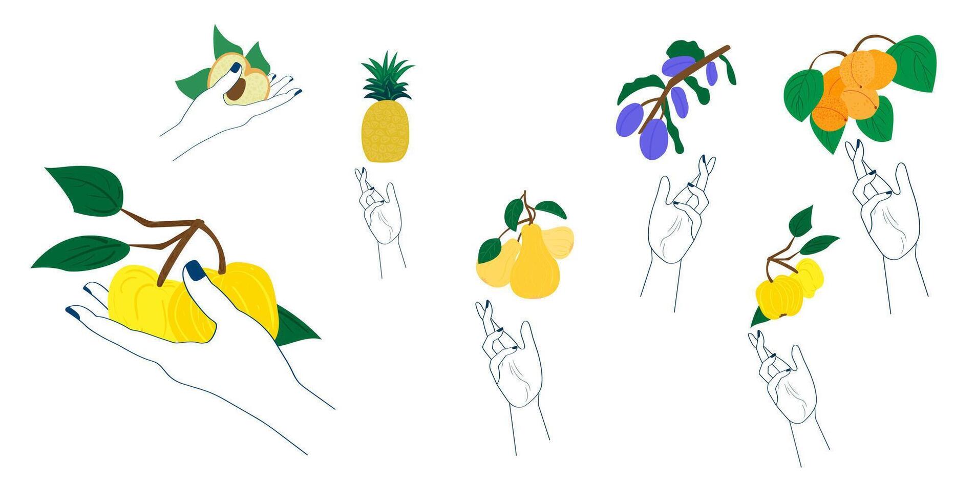 Set of Hand Holding a Fruit vector