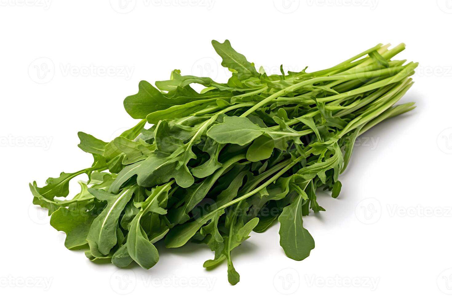 A bunch of fresh arugula on a white background. Healthy food. Vegetarianism photo