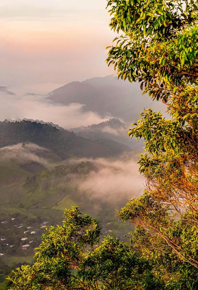 The stunning view from a tourist's standpoint as they go down a hill on a foggy trail with a hill and a background of a golden sky in Forest Park, Thailand. Rainforest. Bird's eye view. Aerial view. photo