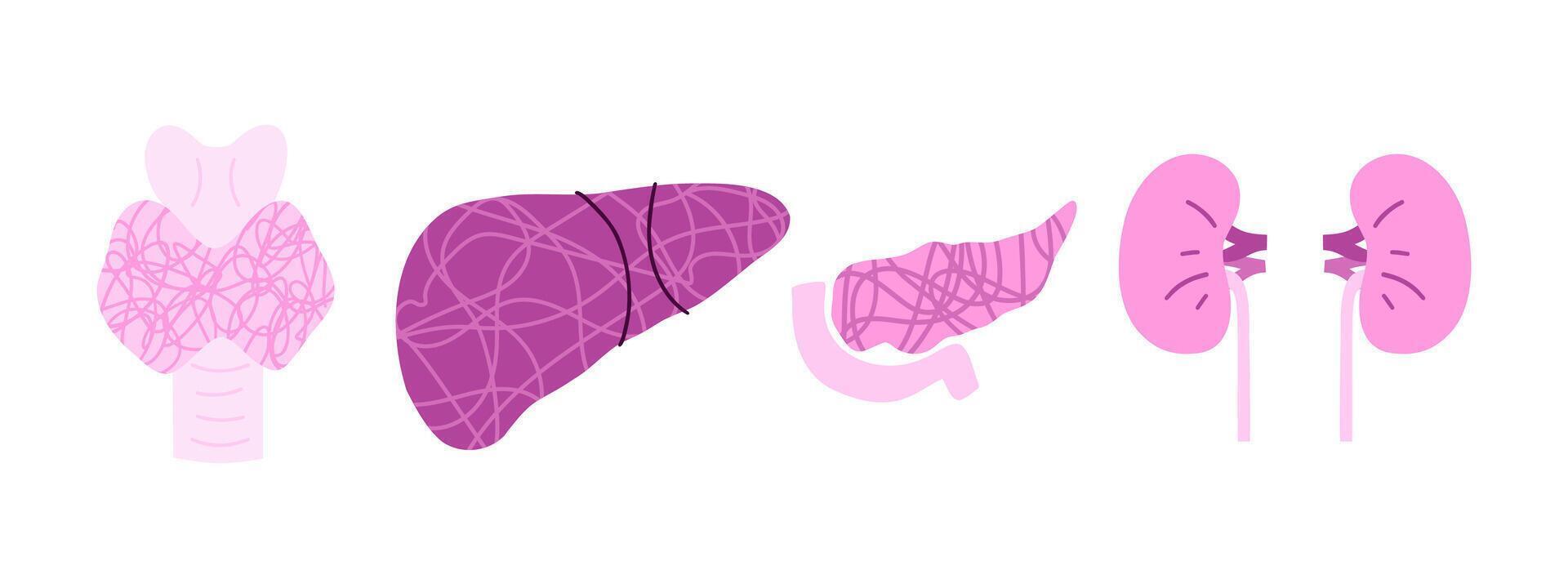 Set of human organs with glands, kidneys, liver, pancreas, thyroid gland. illustration in flat style. vector