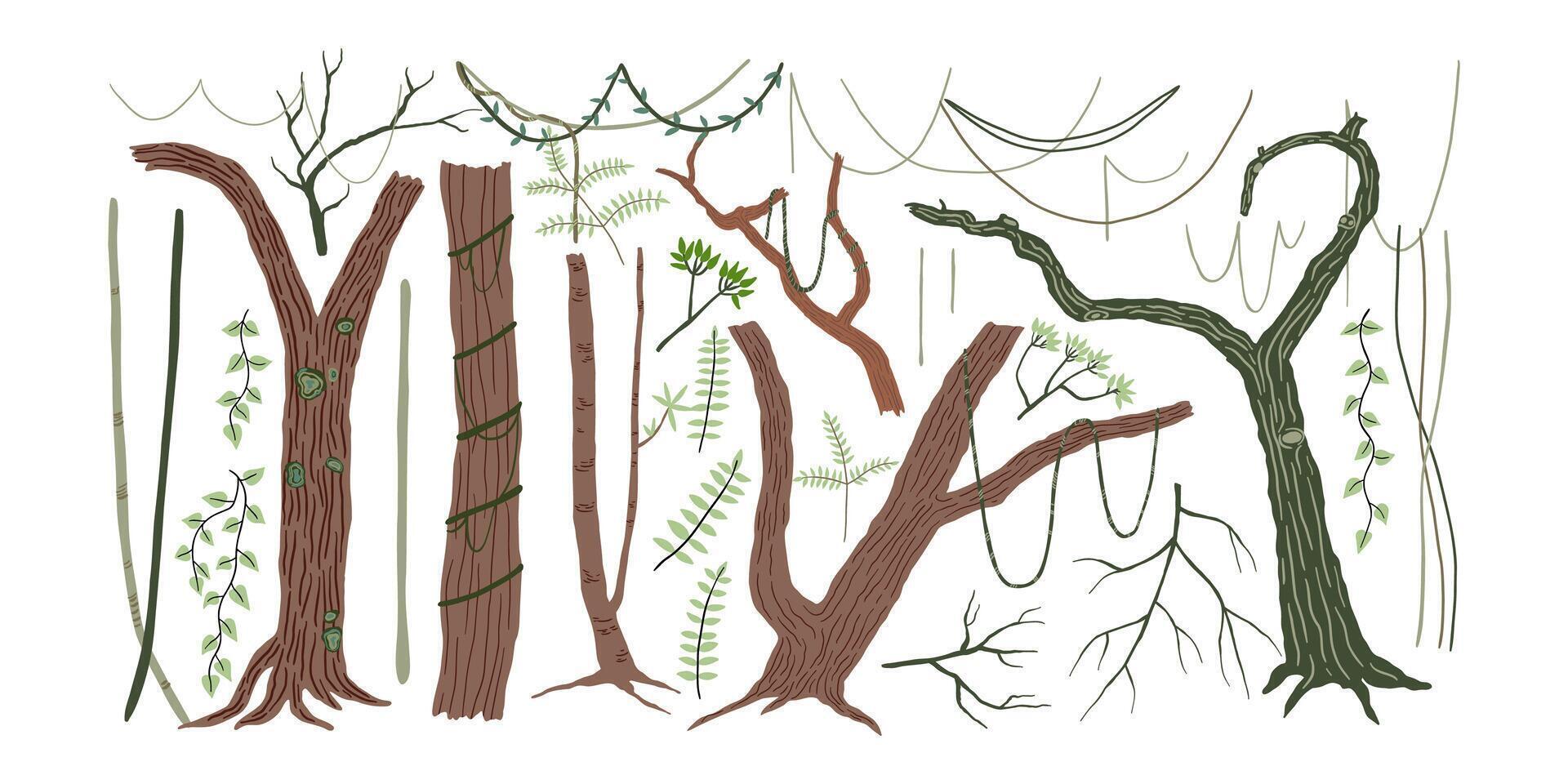 Set of jungle trees, vines and twigs. Rain forest, wild nature. illustration in flat style. vector
