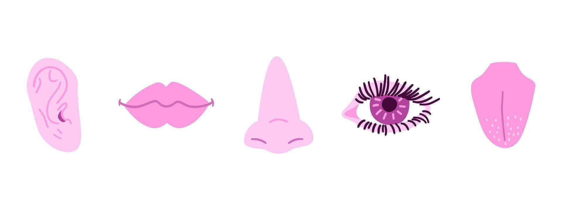 Set of human organs with eye, nose, ear, tongue and mouth. Simple illustration in flat style. vector