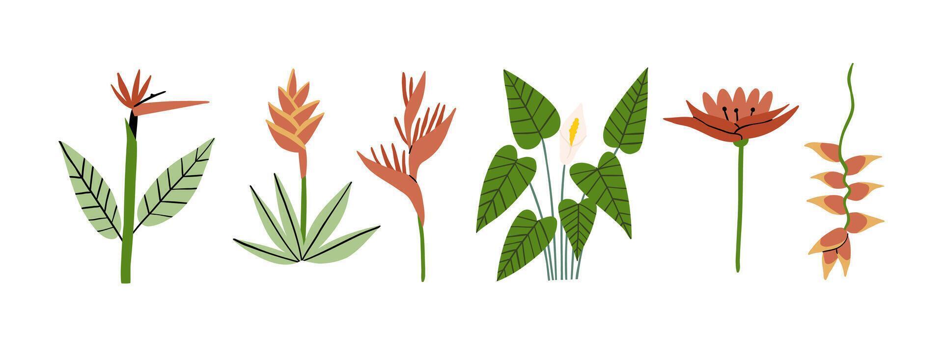 Set with tropical flowers. Rain forest, wild nature. illustration in flat style. vector