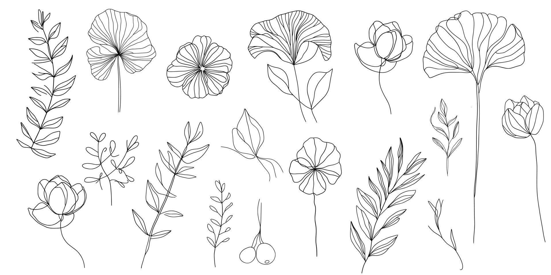 set of different flowers. collection outline flowers and leaves. vector