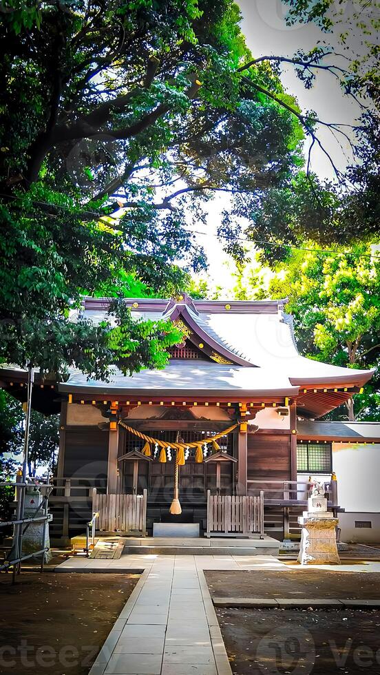 Hatsutomi Inari Shrine, a shrine in Kamagaya City, Chiba Prefecture It began in the early Meiji period when the samurai of the former shogunate began cultivating the Hatsutomi area photo