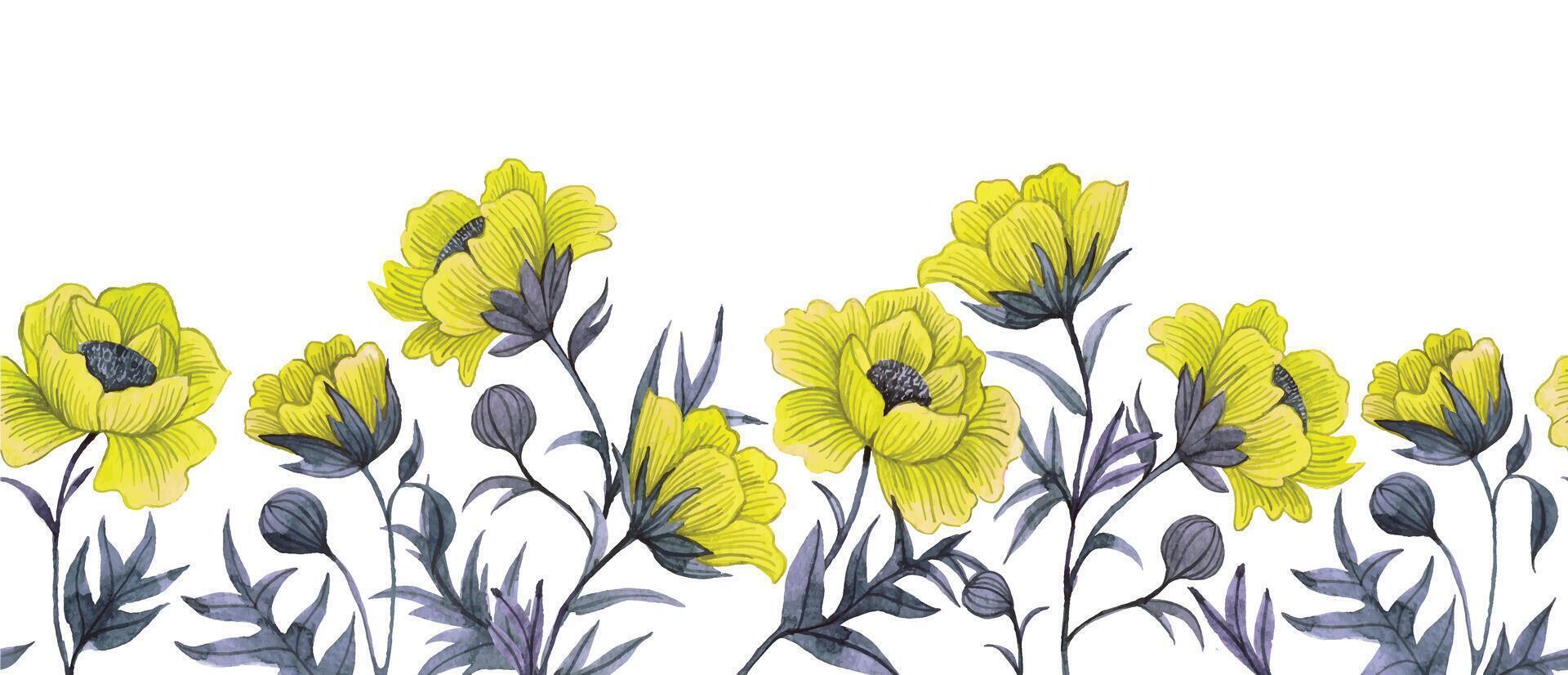 seamless border with yellow poppies. watercolor drawing, frame with wildflowers vector