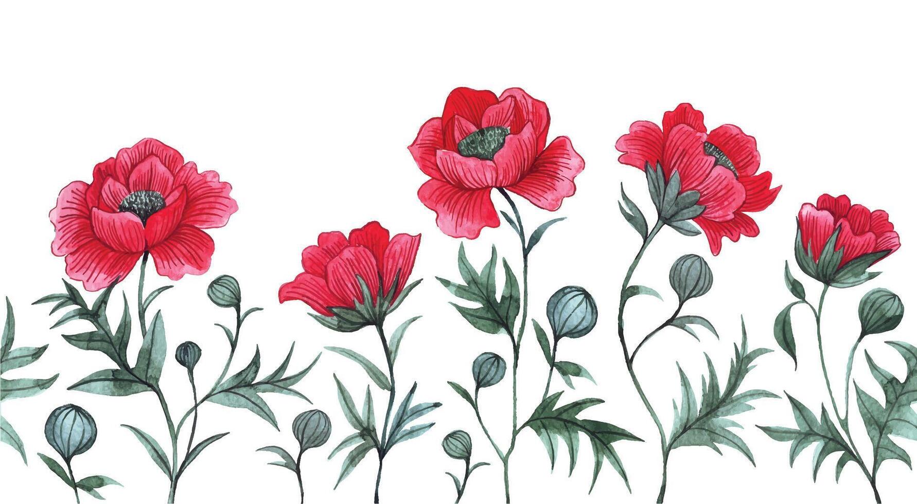seamless border with red poppies. watercolor drawing, frame with wildflowers vector