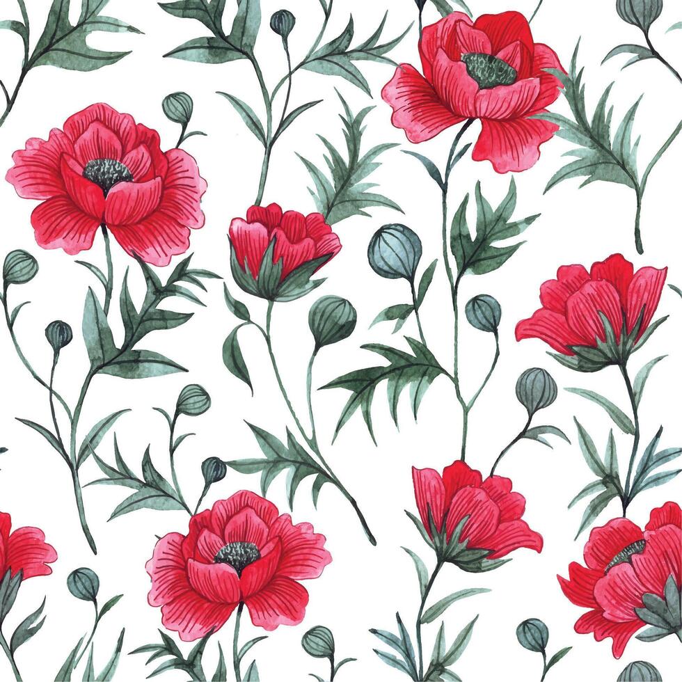 pattern with red poppies on a white background. watercolor seamless print with wildflowers vector
