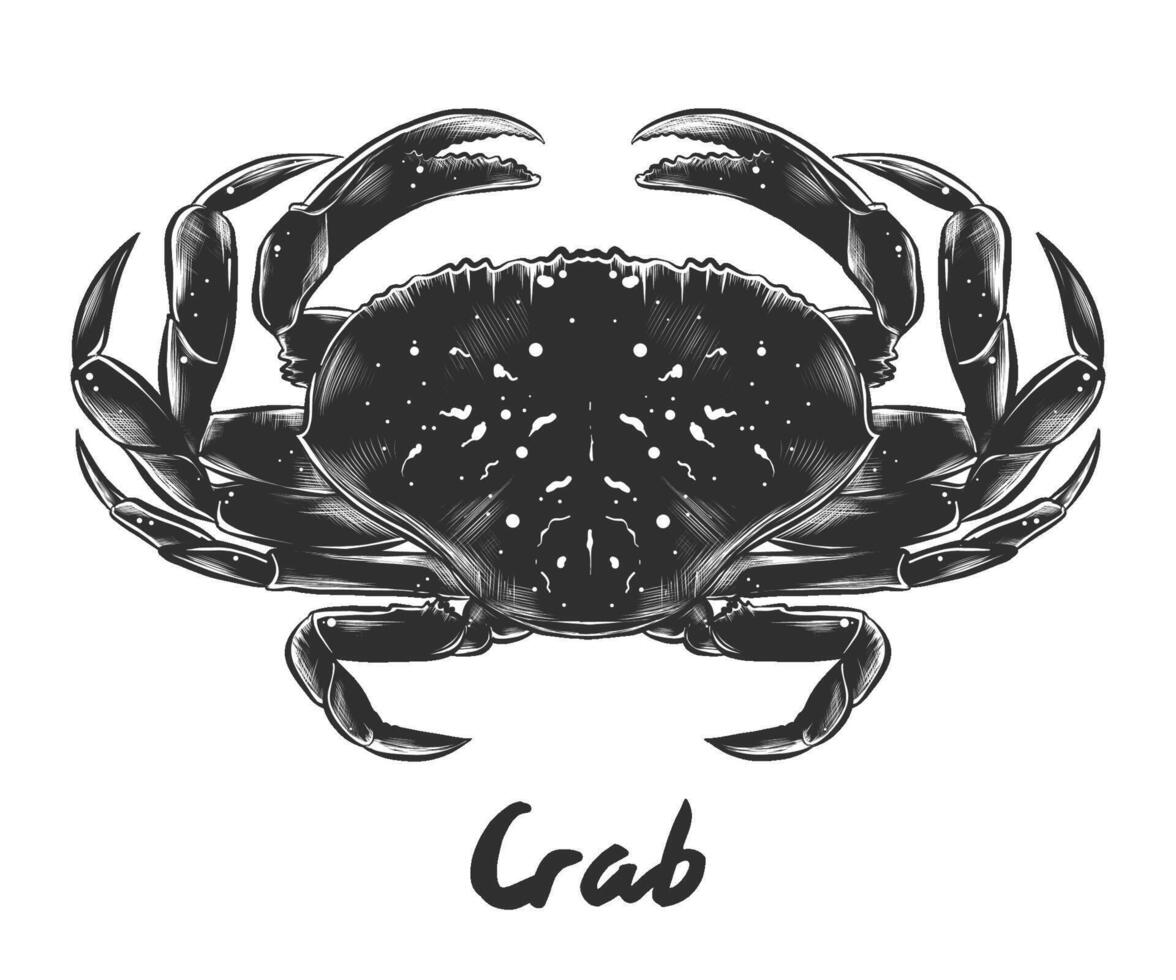 engraved style illustration for posters, decoration and print. Hand drawn sketch of crab in monochrome isolated on white background. Detailed vintage woodcut style drawing. vector