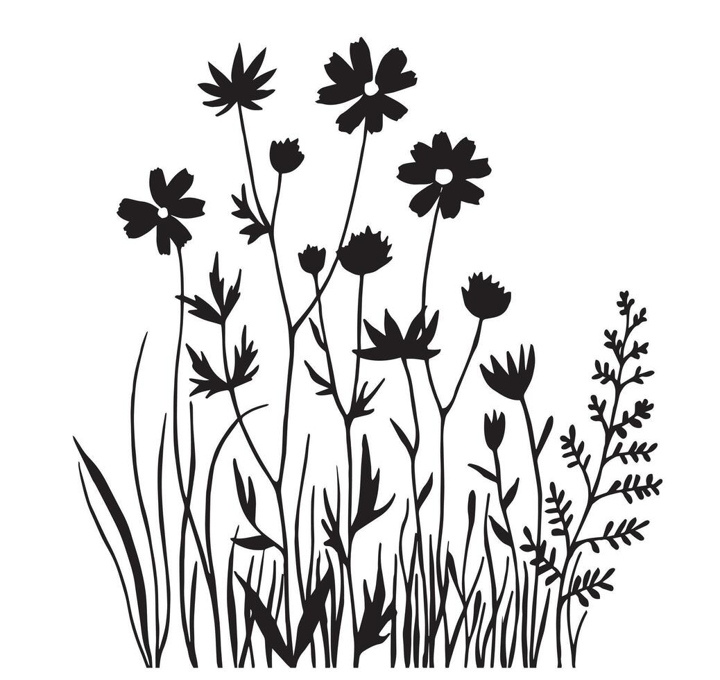drawing, black silhouette of wildflowers and herbs. simple hand drawing vector