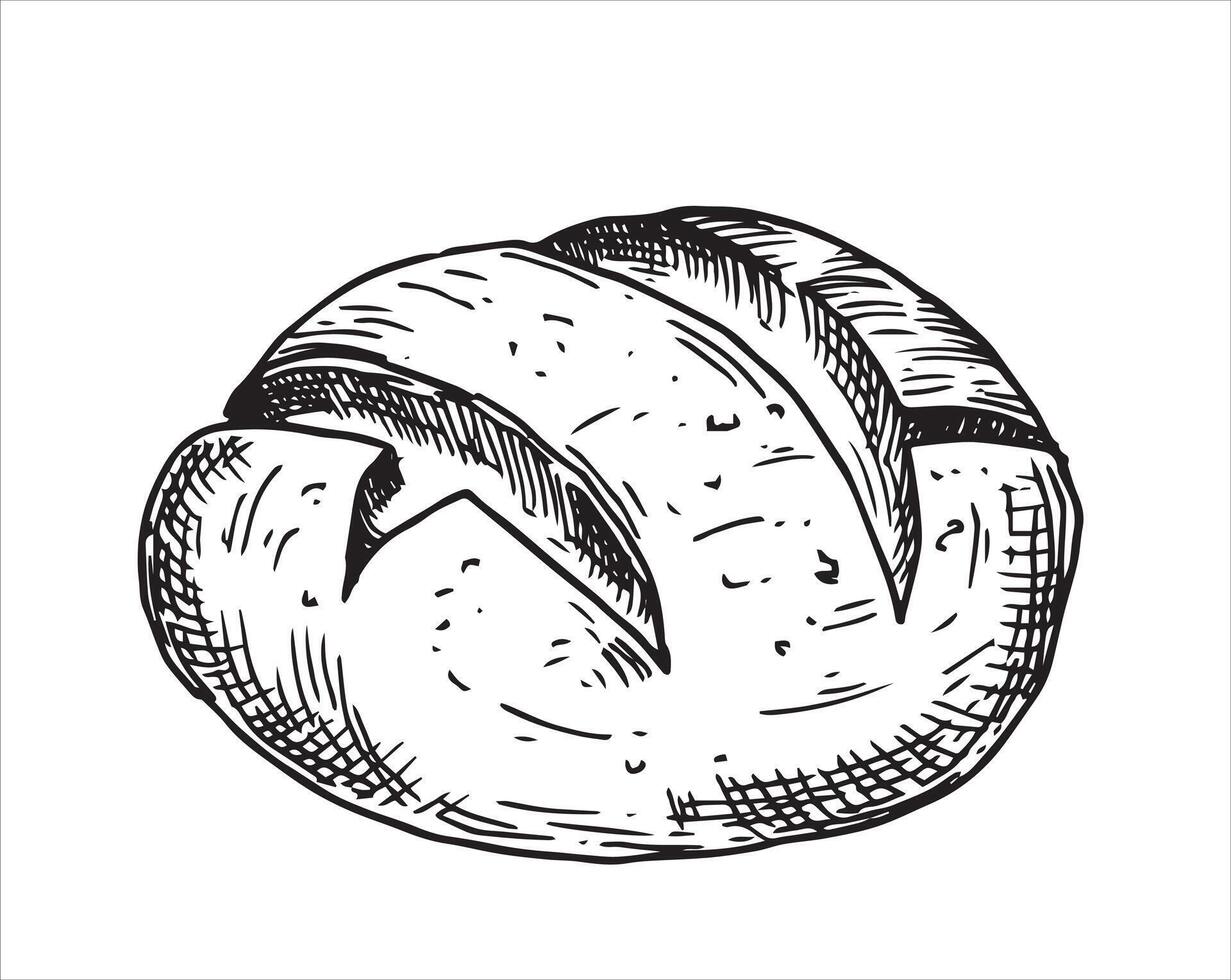 loaf of bread, drawing in sketch style. vector