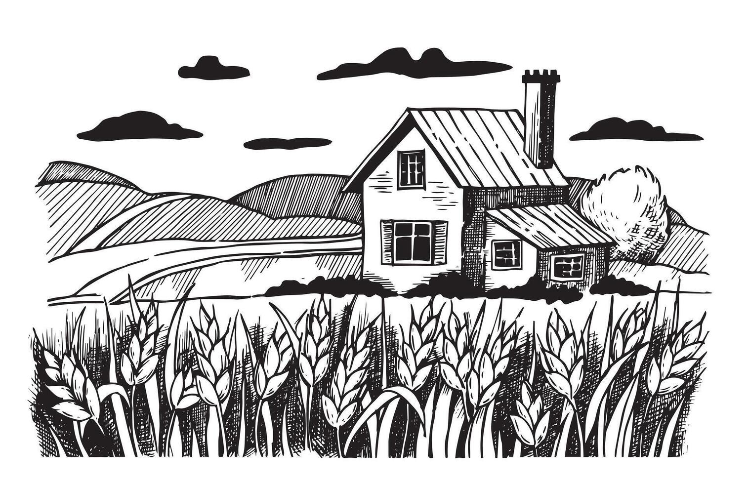 farm landscape with wheat field and house. drawing in sketch style vector