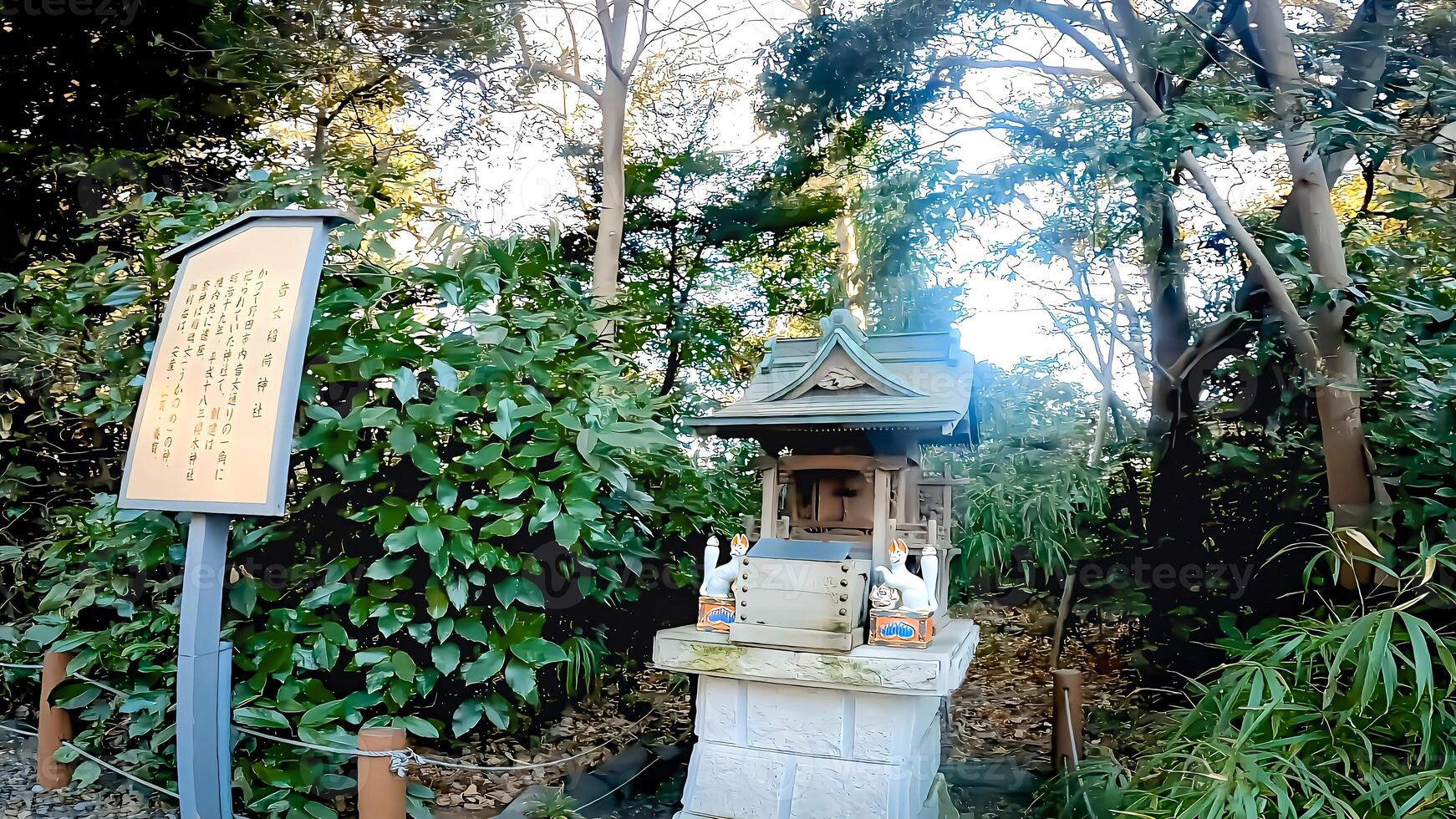 Sakuragi Shrine is a shrine located in Noda City, Chiba Prefecture, Japan. It is also known as a famous cherry blossom viewing spot. It is said that it was founded in 851 of the Heian Dynasty photo