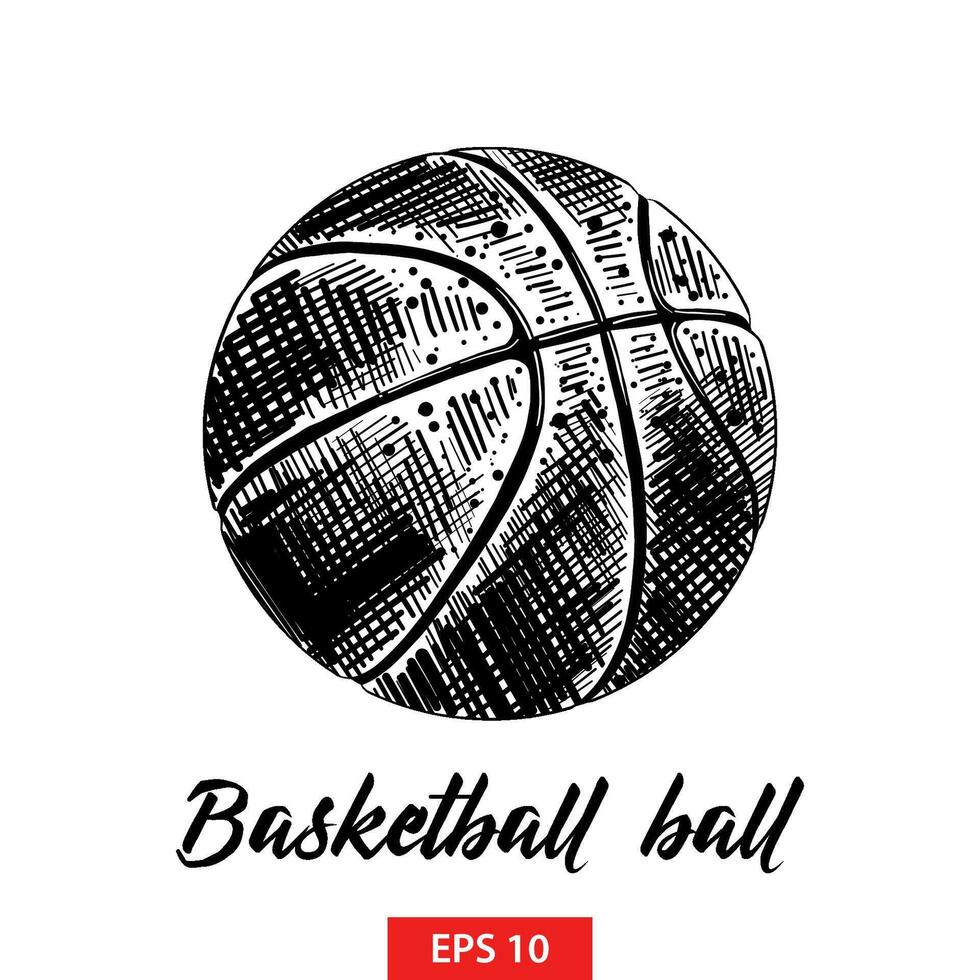 engraved style illustration for posters, decoration and print. Hand drawn sketch of basketball ball in black isolated on white background. Detailed vintage etching style drawing. vector