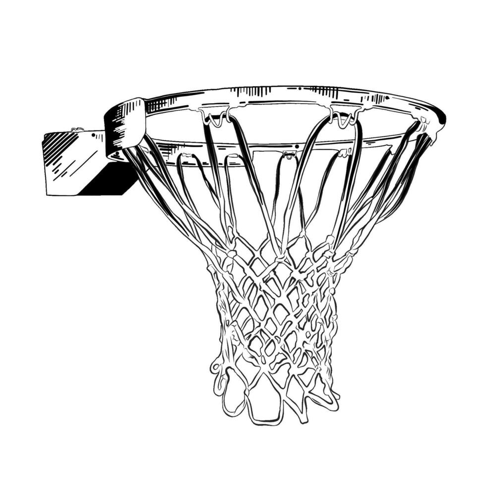 engraved style illustration for posters, decoration and print. Hand drawn sketch of basketball ring in black isolated on white background. Detailed vintage etching style drawing. vector