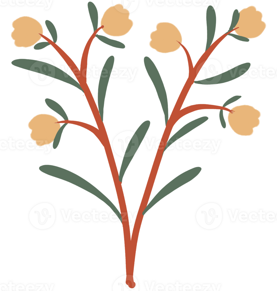 Leaves and flowers png