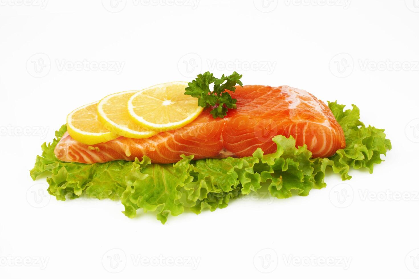 salmon on white photo