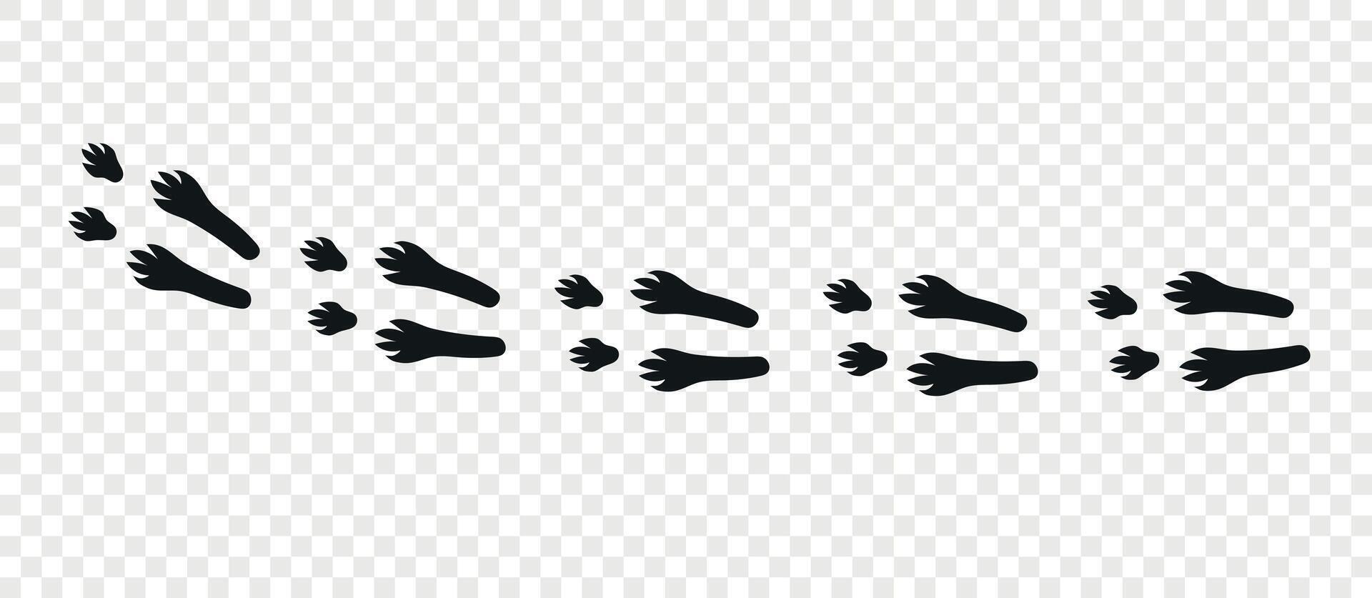 Footpath trail of animal. Rabbit paws. Paw foot trail print of rabbit on white background.Animal steps in black color. vector