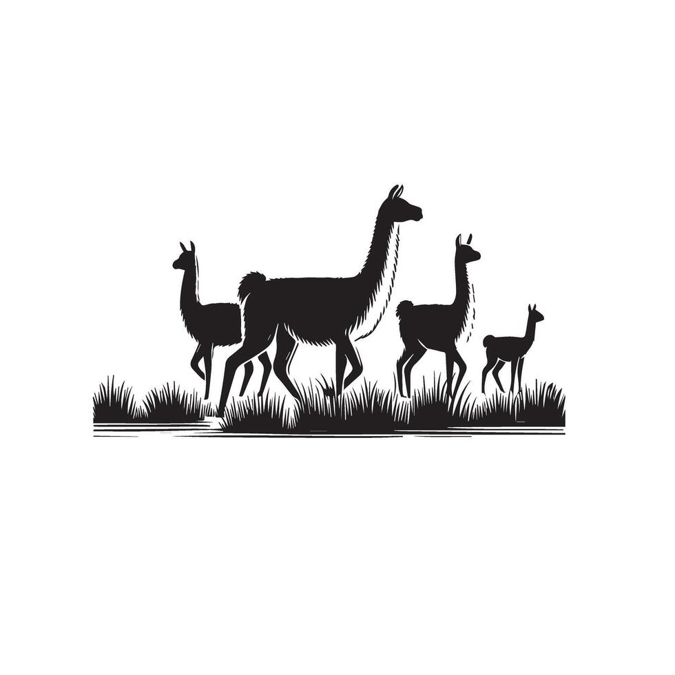 Guanaco silhouette, llama silhouette illustration. Guanaco logo vector
