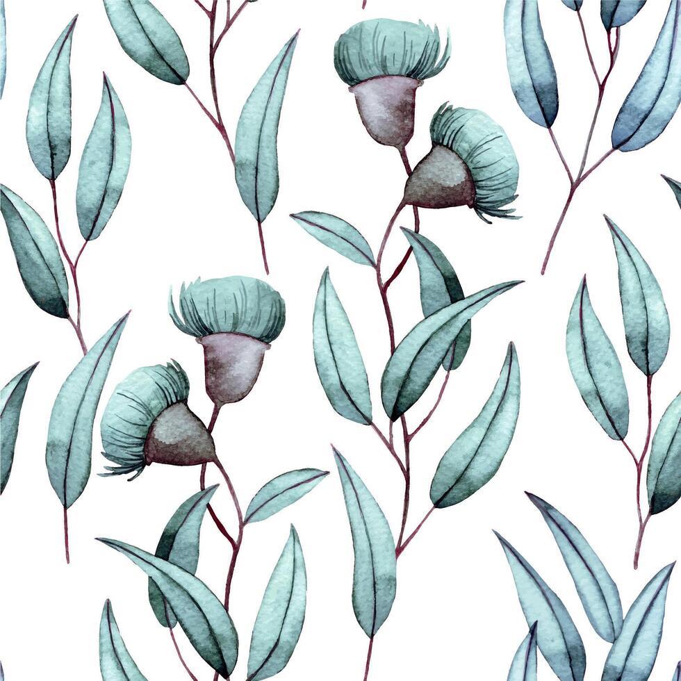 watercolor seamless pattern, eucalyptus branches with flowers and leaves on a white background. elegant print vector