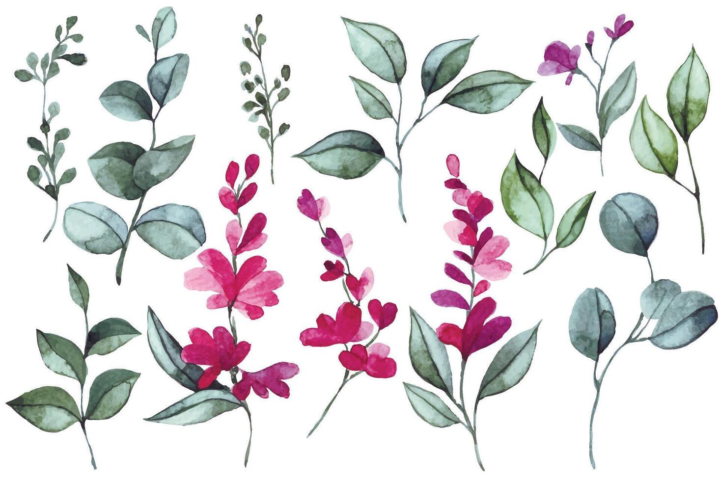 watercolor drawing, set of pink wisteria flowers and eucalyptus leaves. elegant decor vector