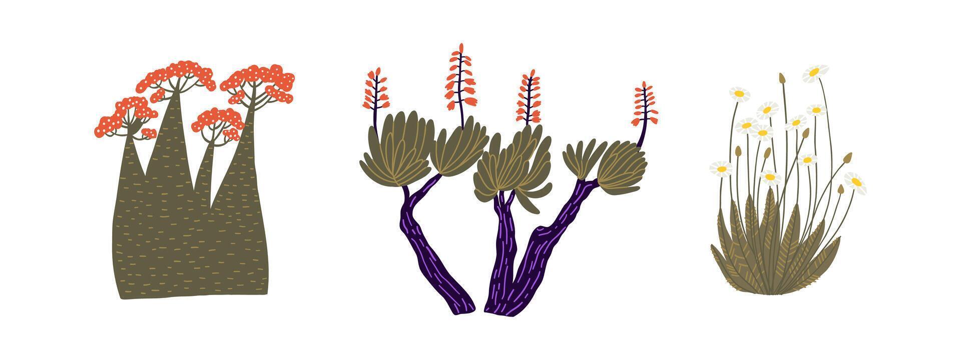 Set of hand drawn desert plants. Sand, desert, heat. Flat illustration. vector