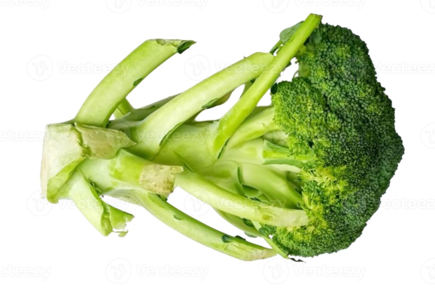 Fresh broccoli isolated on white background photo