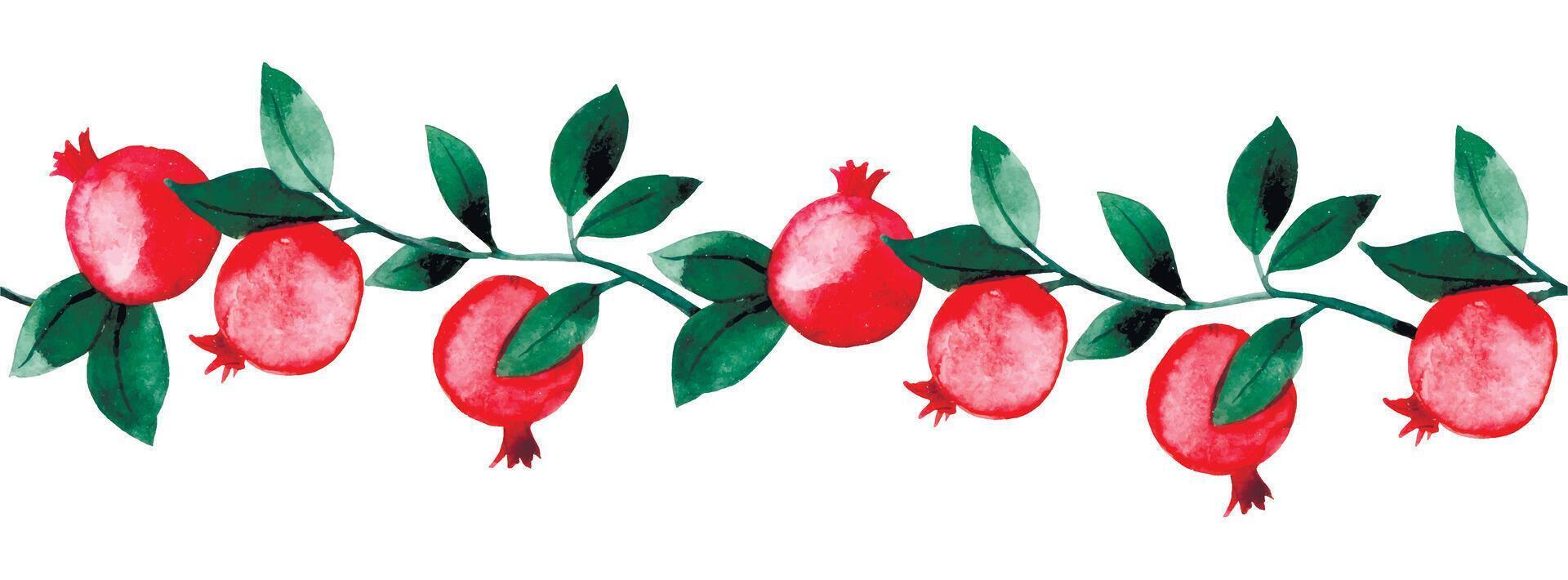 watercolor pattern, seamless border of pomegranate fruits and leaves. vector