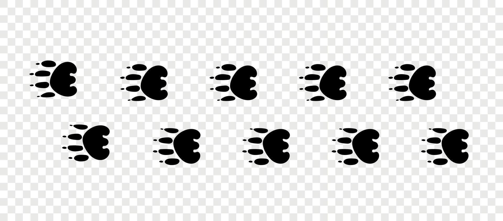 Footpath trail of animal. Tasmanian Devil paws. Paw foot trail print of Tasmanian Devil on white background.Animal steps in black color. vector