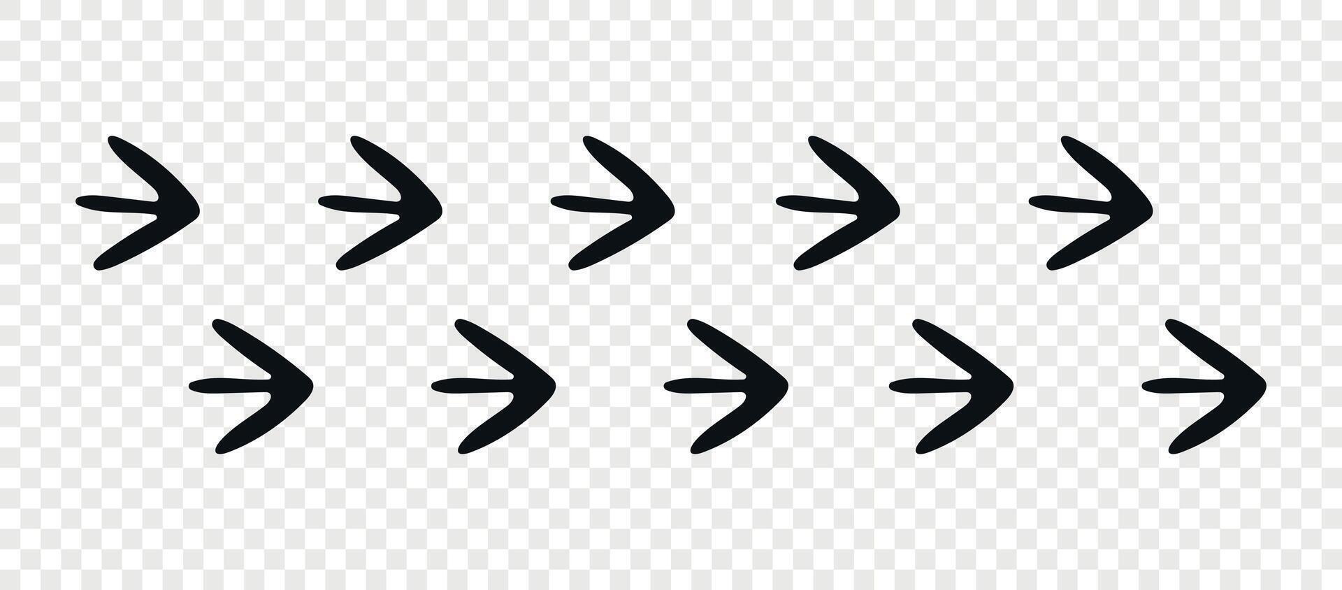 Footpath trail of animal. Masked Lapwing paws. Paw foot trail print of Masked Lapwing on white background. Animal steps in black color. vector