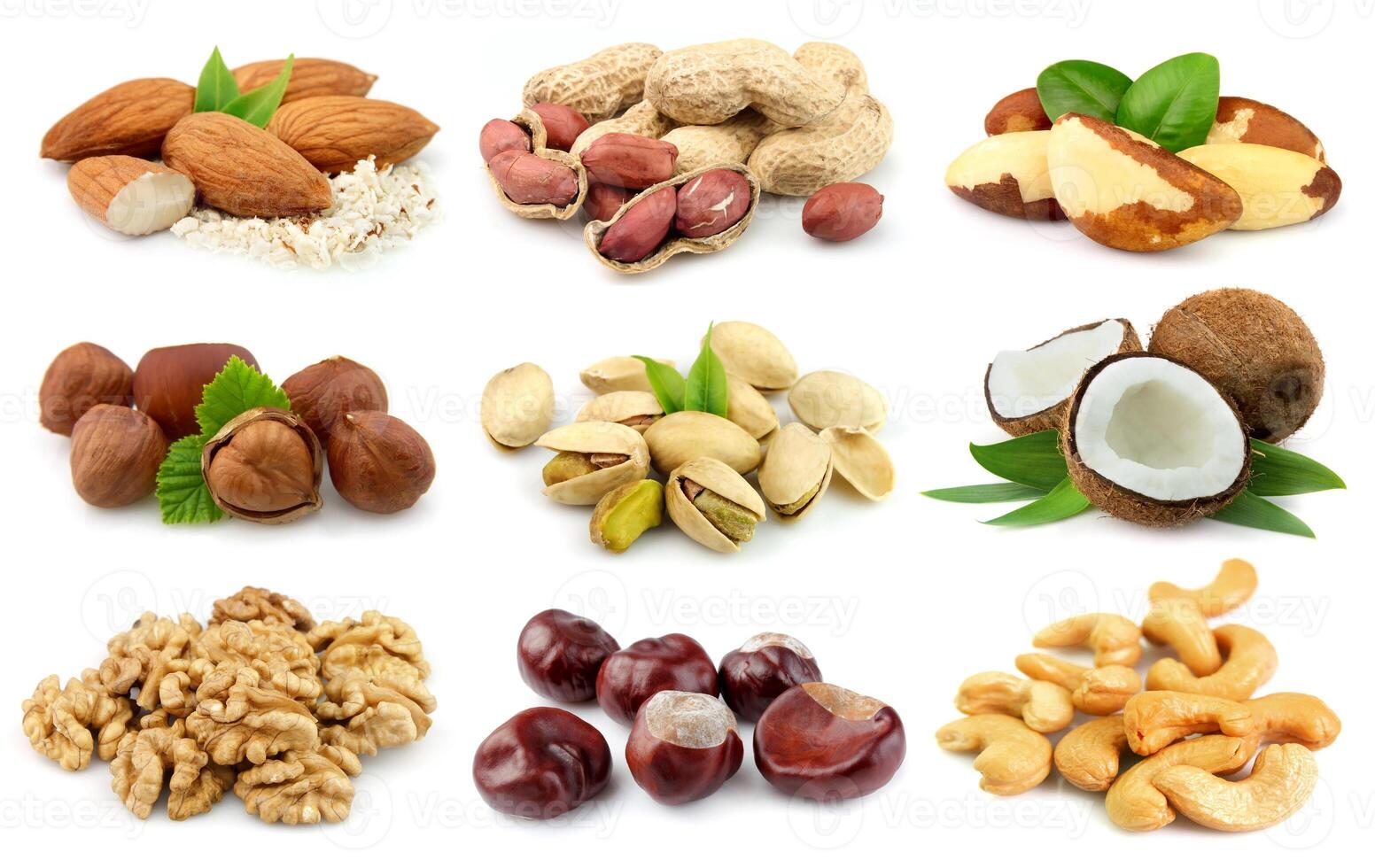 Collection of nuts photo