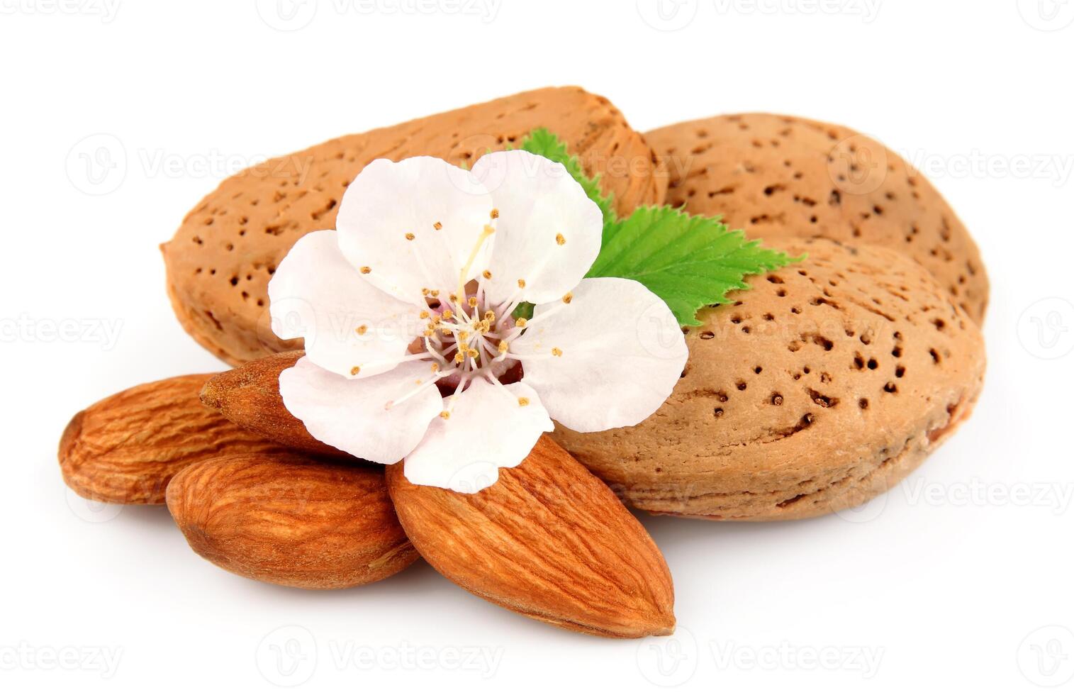 Almonds with leaves and flowers photo