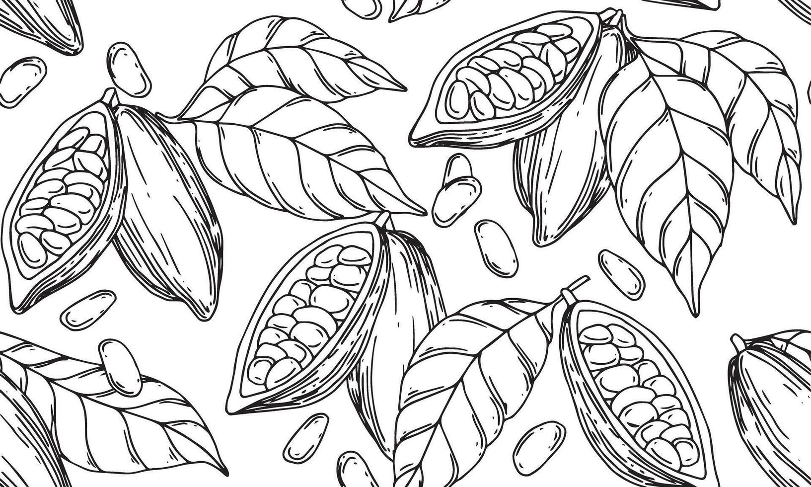 seamless pattern of cocoa beans, fruits and leaves. illustration with lines, sketch vector