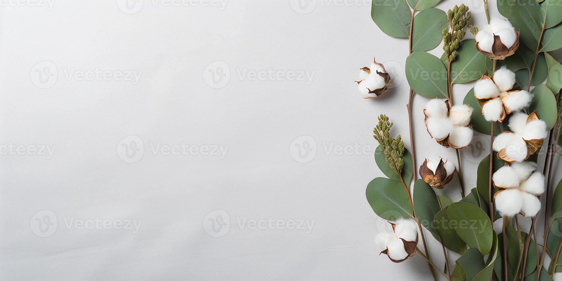 flat lay with eucalyptus leaves and cotton flowers with space for text. aesthetic frame made of eucalyptus leaves photo