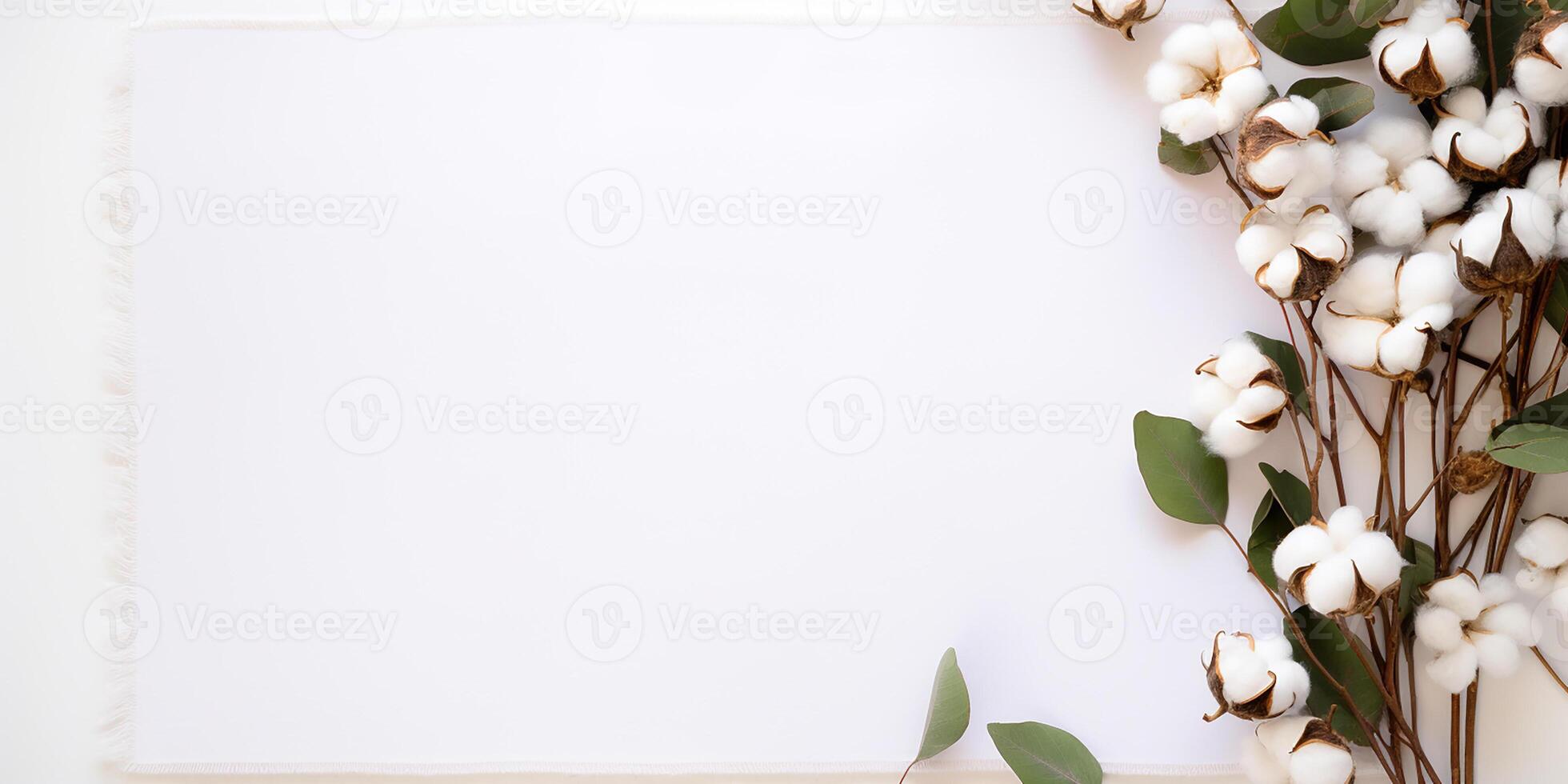 flat lay with eucalyptus leaves and cotton flowers with space for text. aesthetic frame made of eucalyptus leaves photo