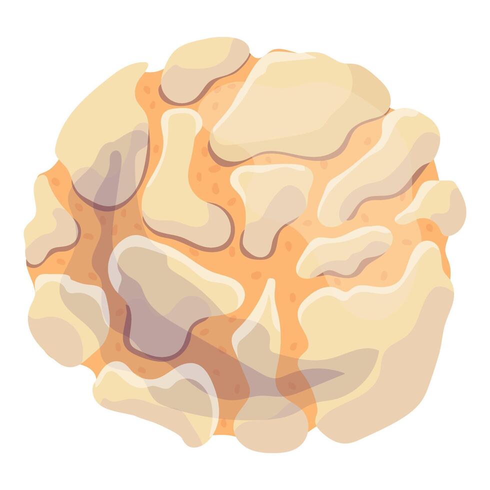 Delicious cookie homemade cookies vector