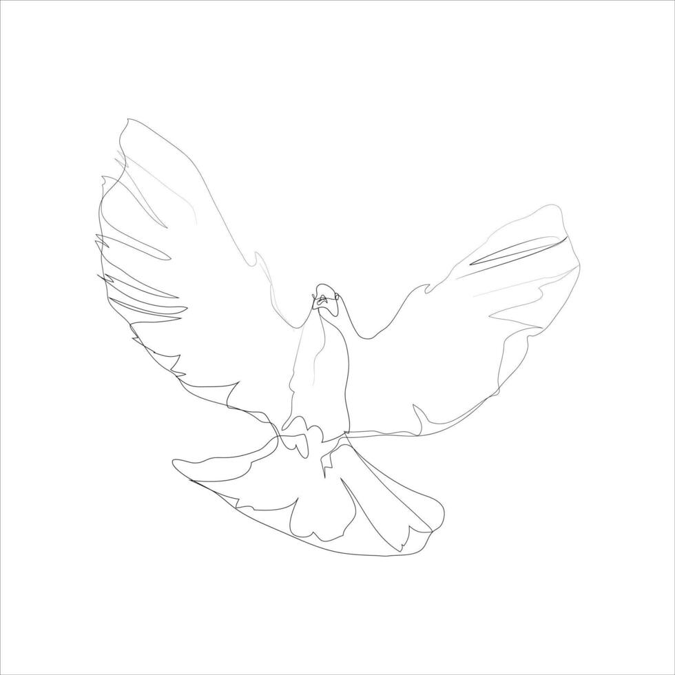 Continuous lineart of bird of peace illustration. Hand drawn outline pegion , flying dove silhouette sketch for label, logo, poster design vector