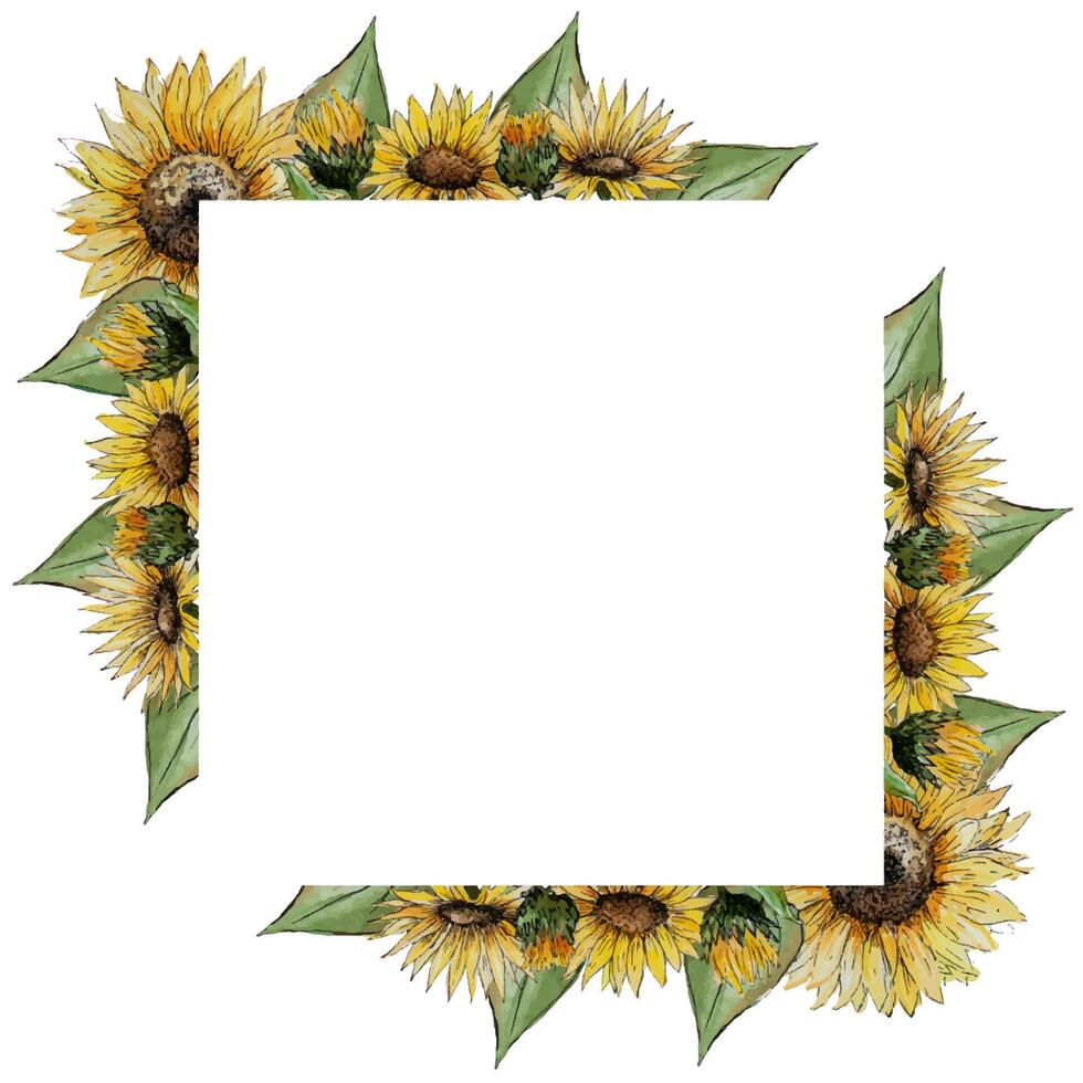 Watercolor hand painted square wreath frame of flowers of buds of leaves of stalks of a sunflower vector