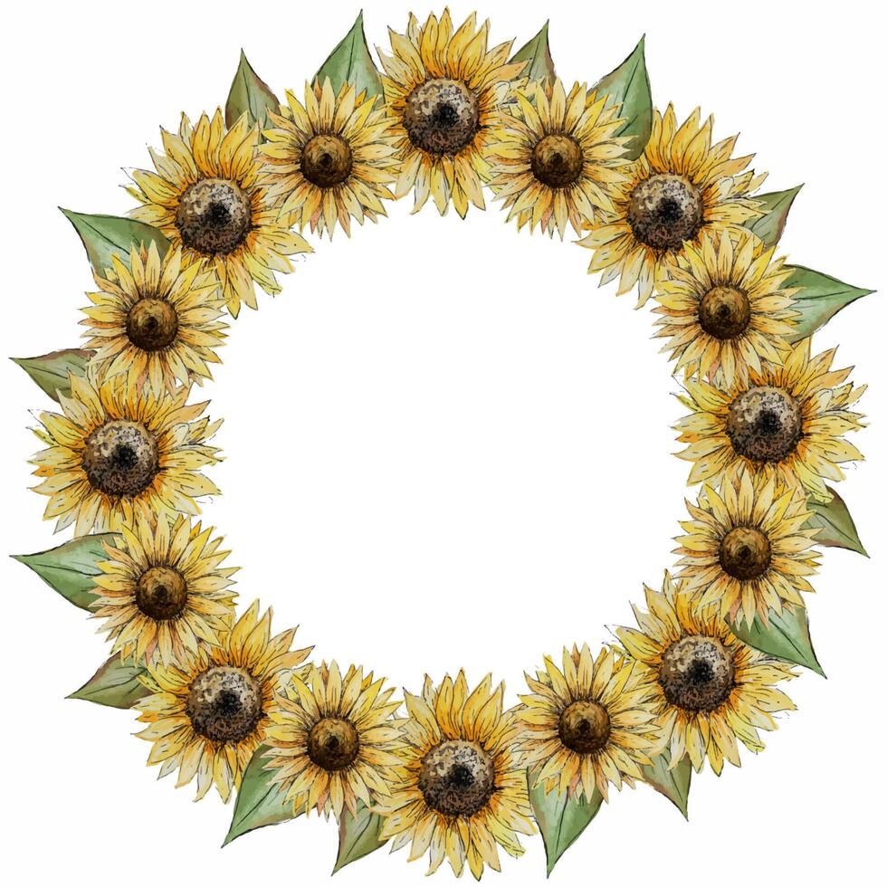 wreath round frame of flowers of buds of leaves of stalks of a sunflower vector