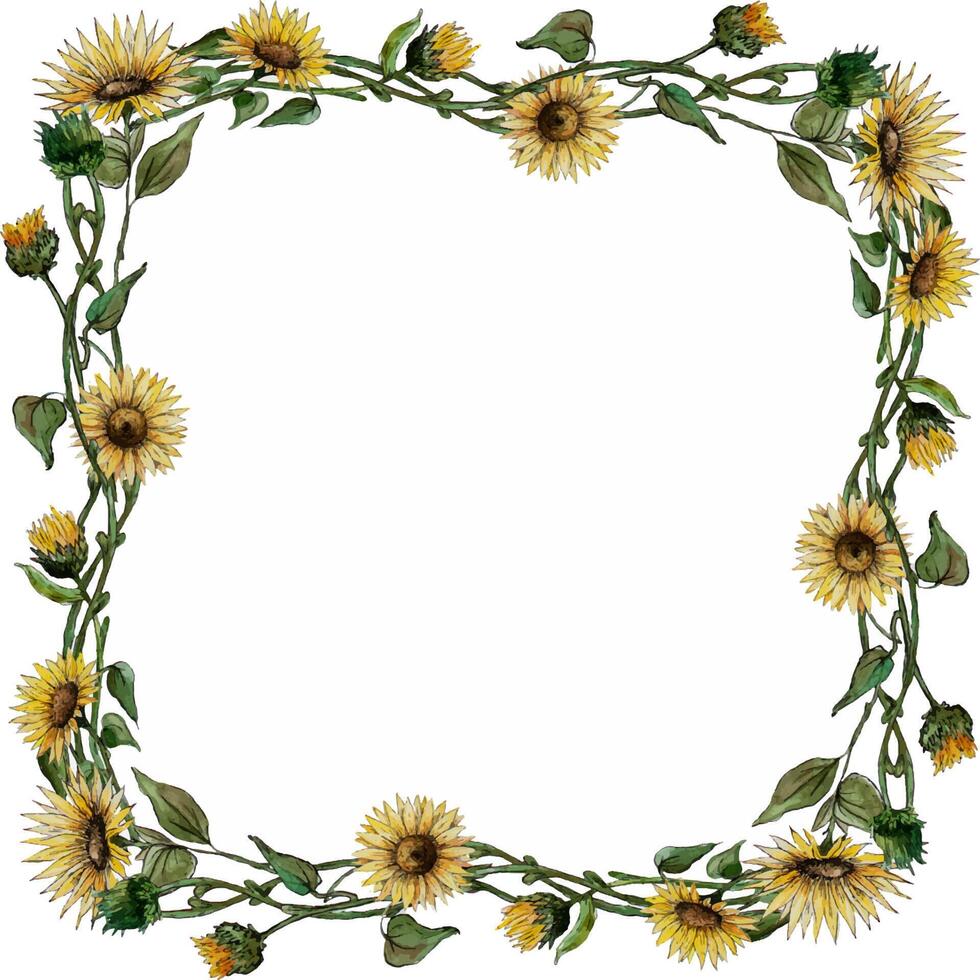 square wreath frame of flowers of buds of leaves of stalks of a sunflower. vector