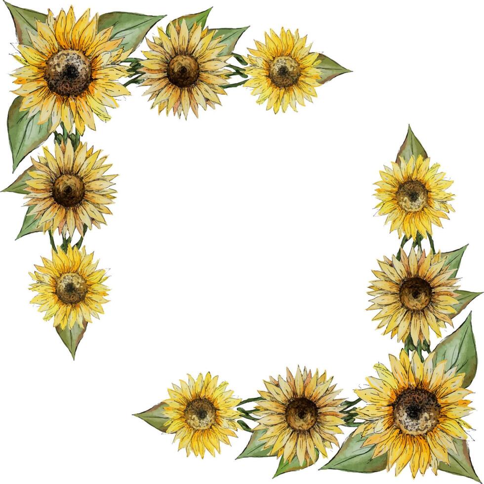 Watercolor hand painted square wreath frame of flowers of buds of leaves of stalks of a sunflower vector