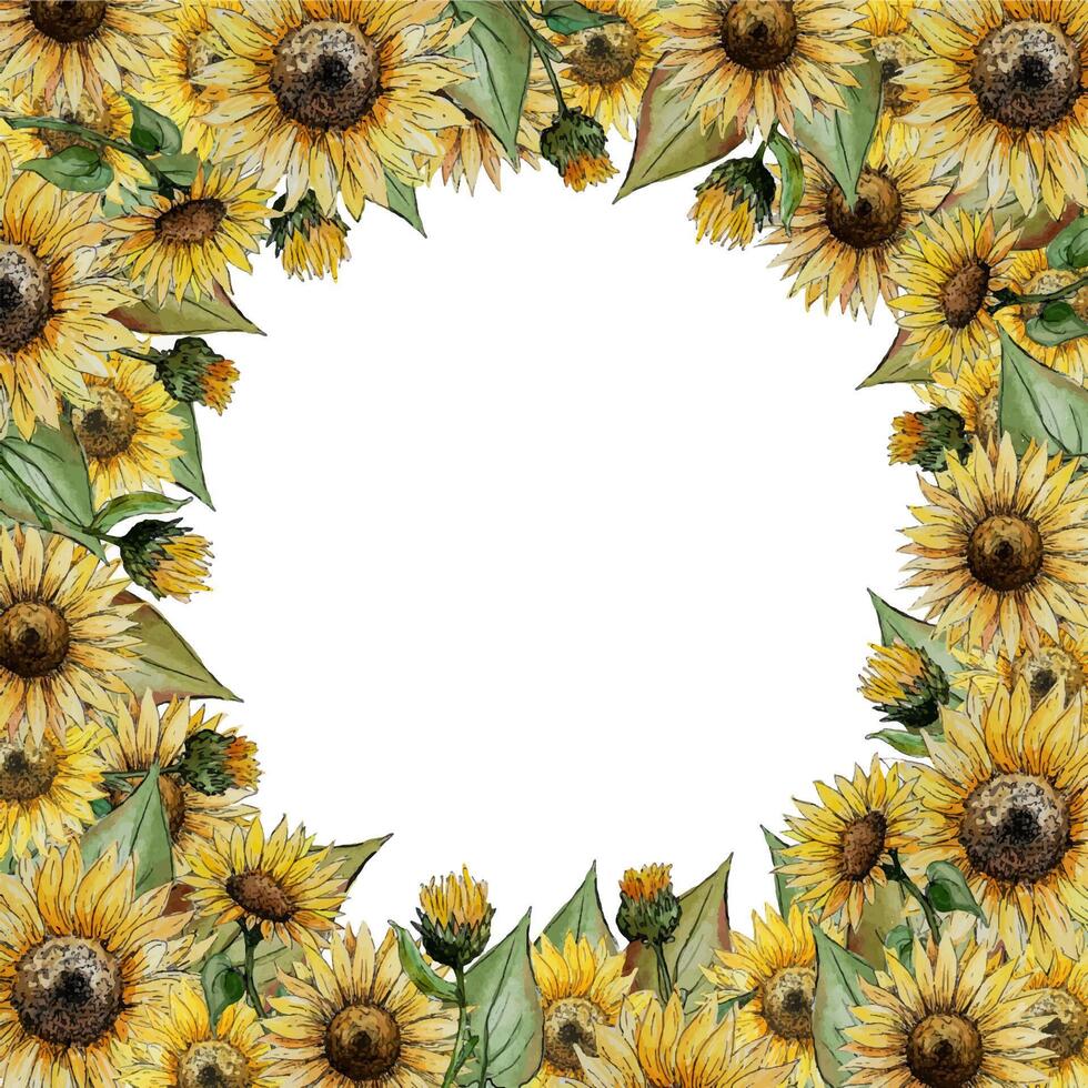 yellow square frame of flowers of buds of leaves of stalks of a sunflower Design for invitations and postcards vector