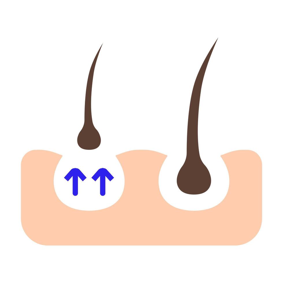 Hair line icon. Follicle, curls, hair follicle, growth, injection, treatment, loss, transplant, removal, recovery, tip section, care, skin, acne, pores. Health, beauty, therapy, medical. vector